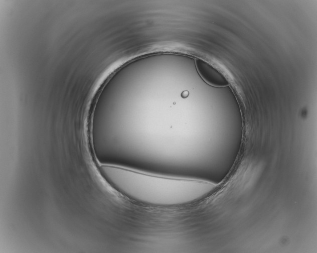 X0000091210947200708091113