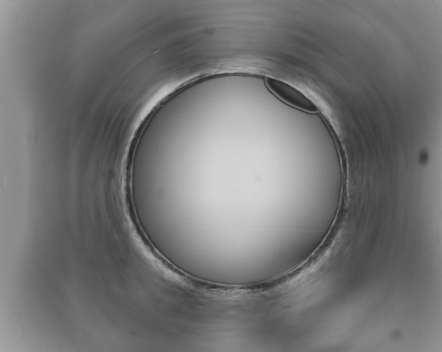 X0000091210949200708091113