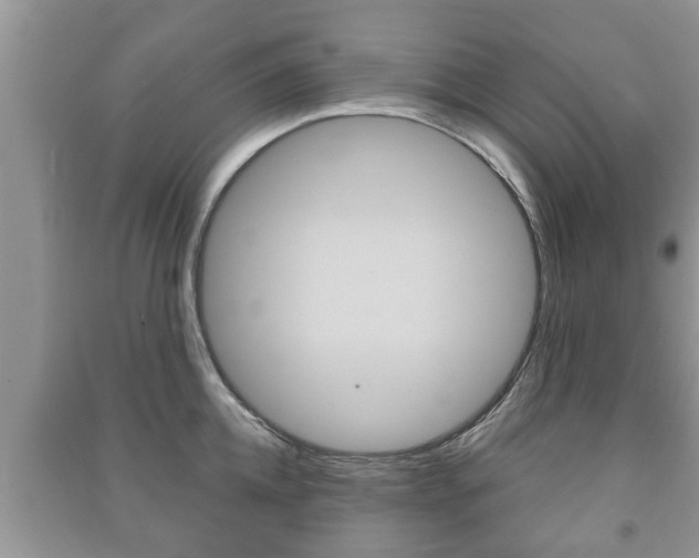 X0000091210952200708091113