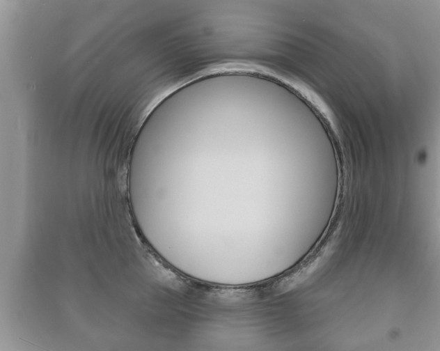 X0000091210953200708091113