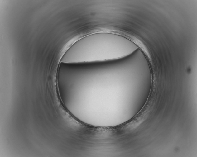 X0000091210954200708091113