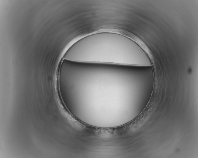 X0000091210955200708091113