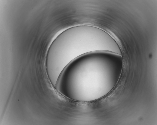 X0000091210956200708091113