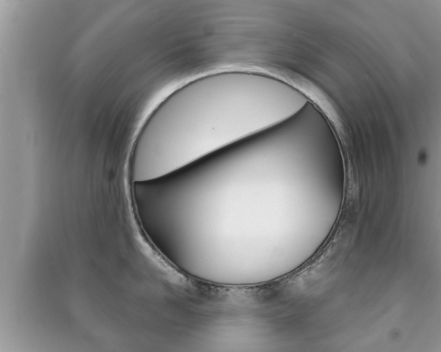 X0000091210958200708091113