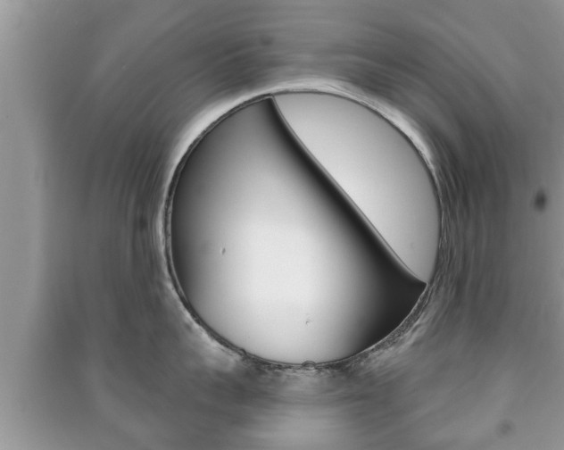 X0000091210959200708091113