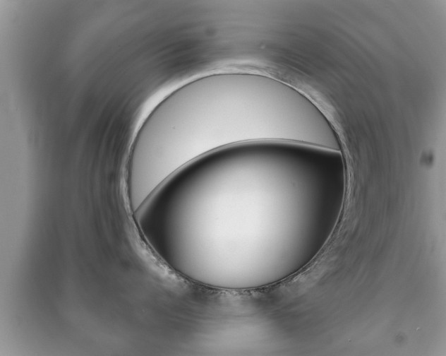 X0000091210960200708091113