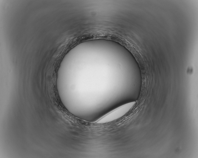 X0000091210961200708091112