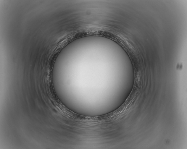 X0000091210964200708091112