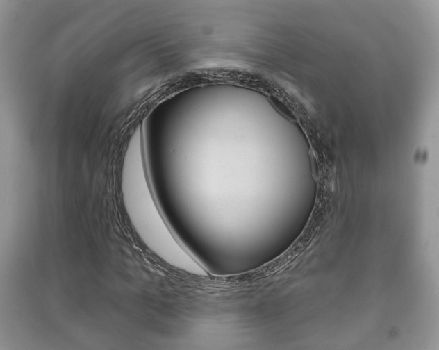 X0000091210965200708091112