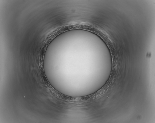 X0000091210966200708091112