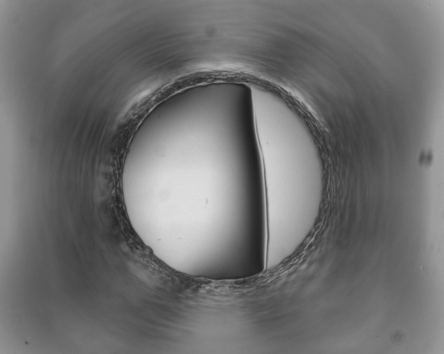 X0000091210967200708091112