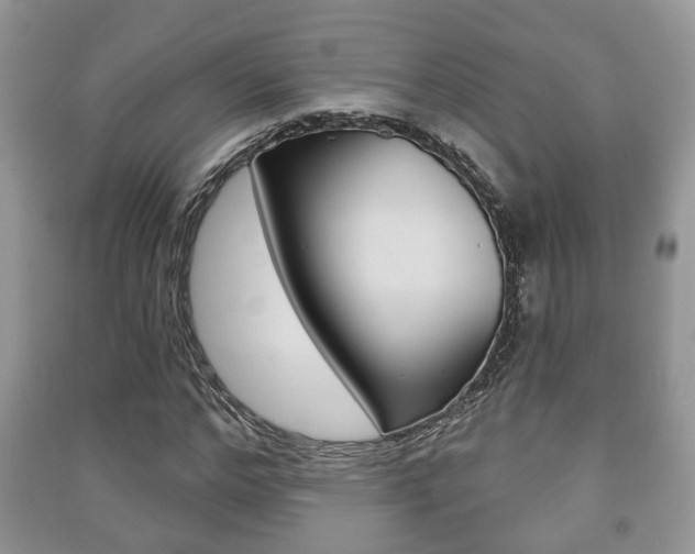 X0000091210968200708091112
