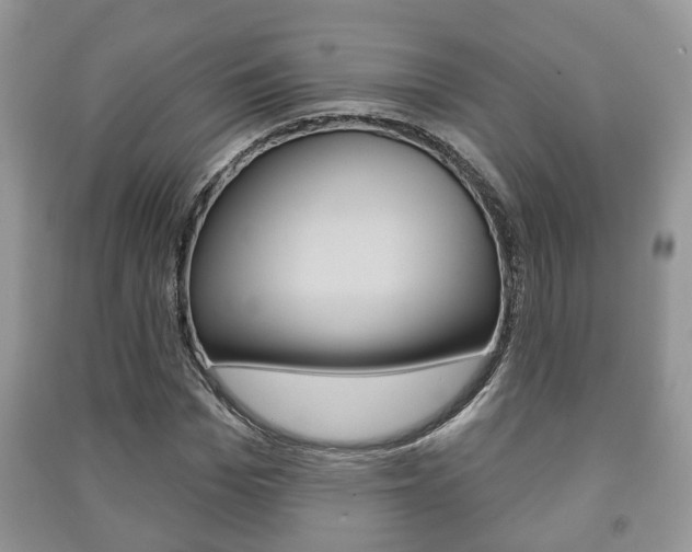 X0000091210969200708091112