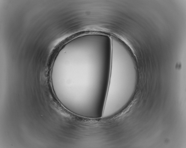 X0000091210971200708091112