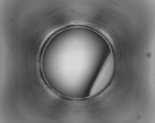 X0000091210976200708091112