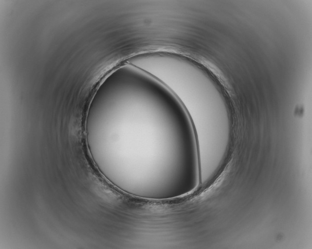 X0000091210977200708091112