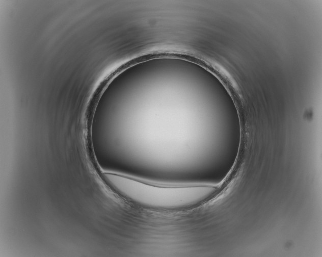 X0000091210981200708091112