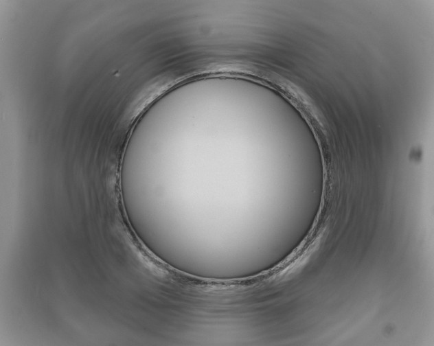X0000091210985200708091112