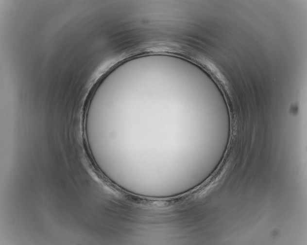 X0000091210986200708091112