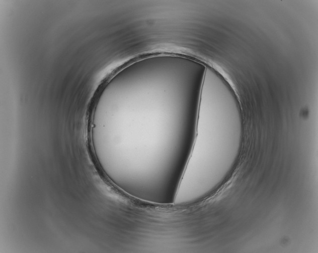 X0000091210987200708091112