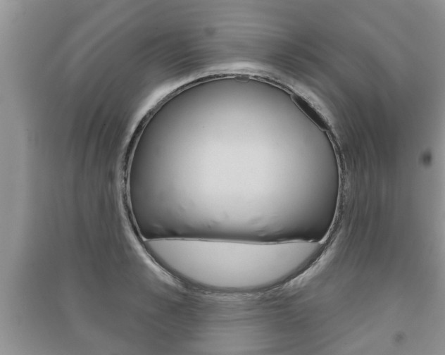 X0000091210989200708091112