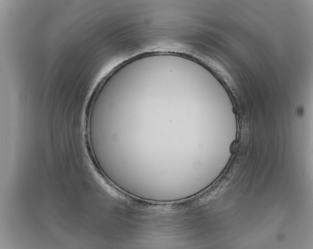 X0000091210990200708091112