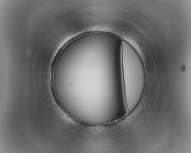 X0000091210992200708091112