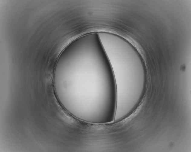 X0000091210993200708091112
