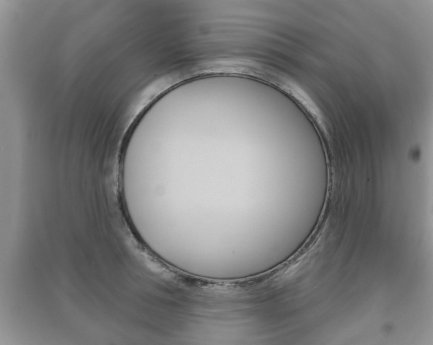 X0000091210994200708091112