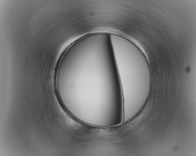 X0000091210995200708091112