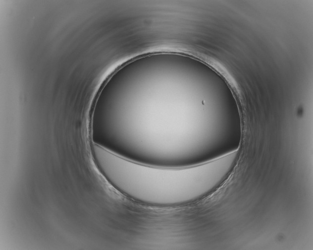 X0000091210996200708091111