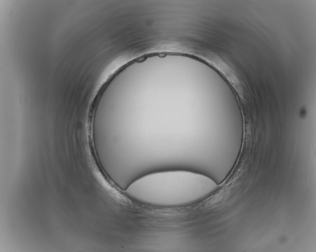 X0000091210998200708091111