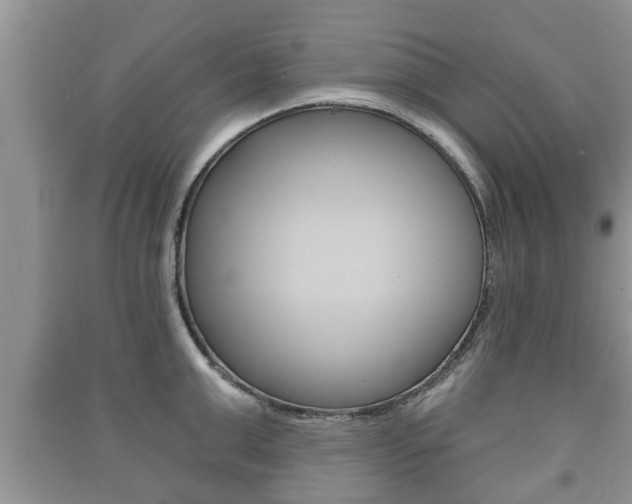 X0000091210999200708091111