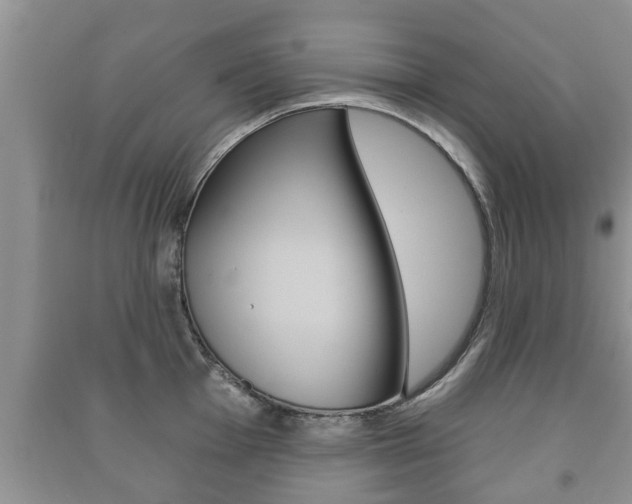 X0000091211001200708091111