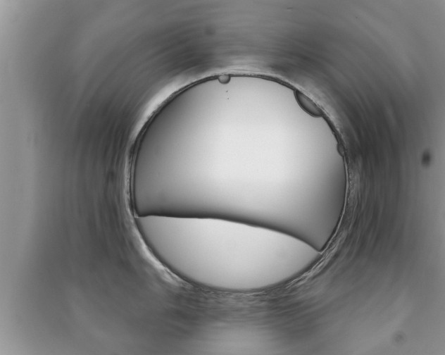 X0000091211006200708091111