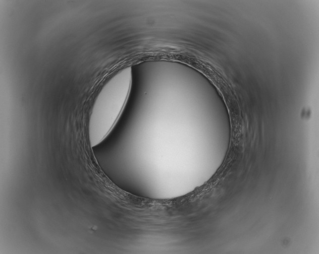 X0000091211013200708091111