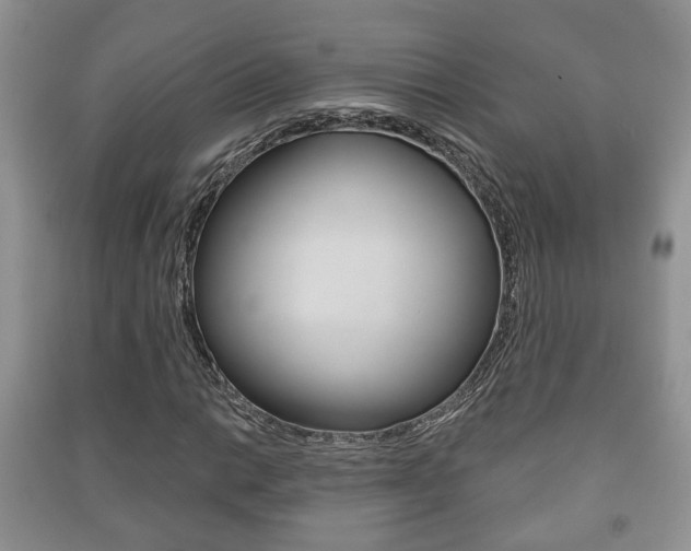 X0000091211014200708091111