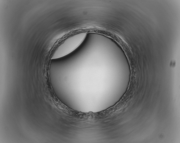 X0000091211016200708091111