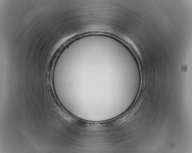X0000091211019200708091111
