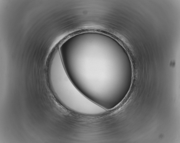 X0000091211022200708091111