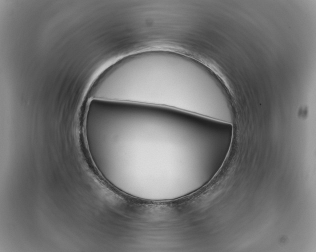 X0000091211024200708091111