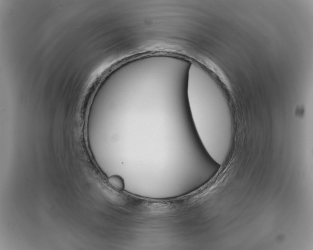 X0000091211027200708091111