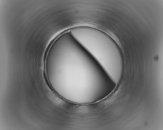 X0000091211028200708091111