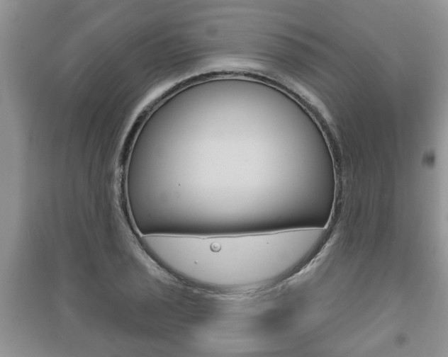 X0000091211029200708091111
