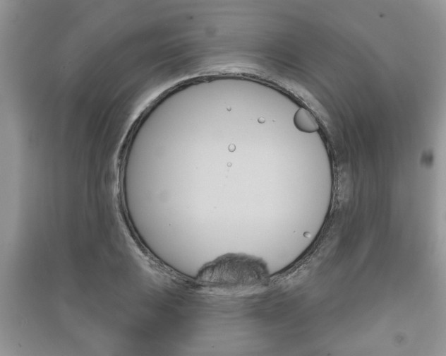 X0000091211031200708091111
