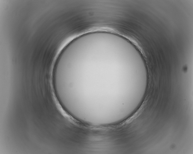 X0000091211038200708091111