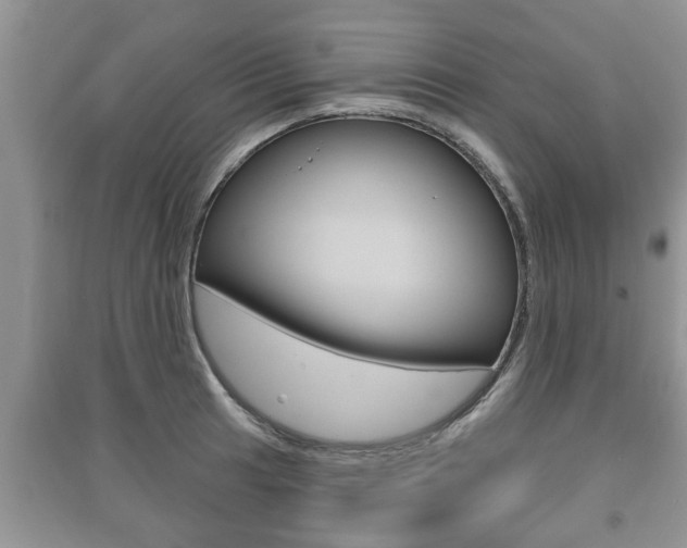 X0000091211041200708091111