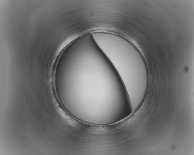 X0000091211042200708091111