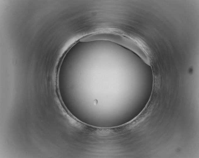 X0000091211046200708091111