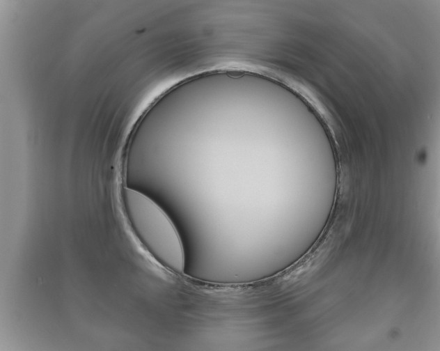 X0000091211048200708091111